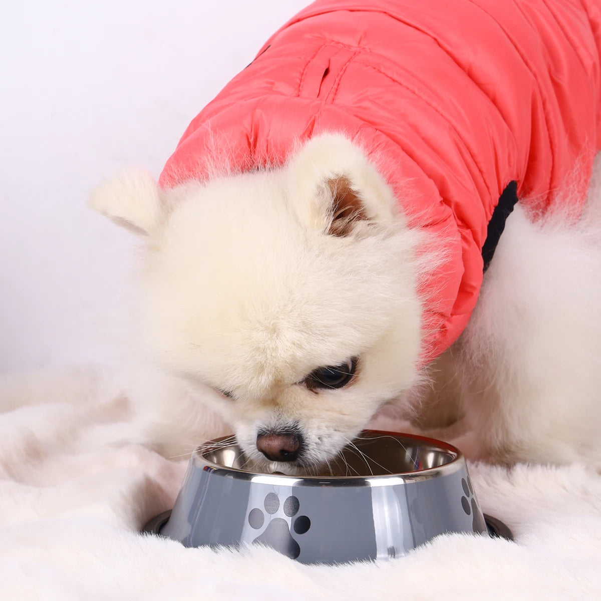 Stainless Steel Pet Bowl Cat  Dog Food Bowl Multi-Specification Anti-fall Food Bowl Food Bowl Feeding Pet Supplies 16 To 22 Cm
